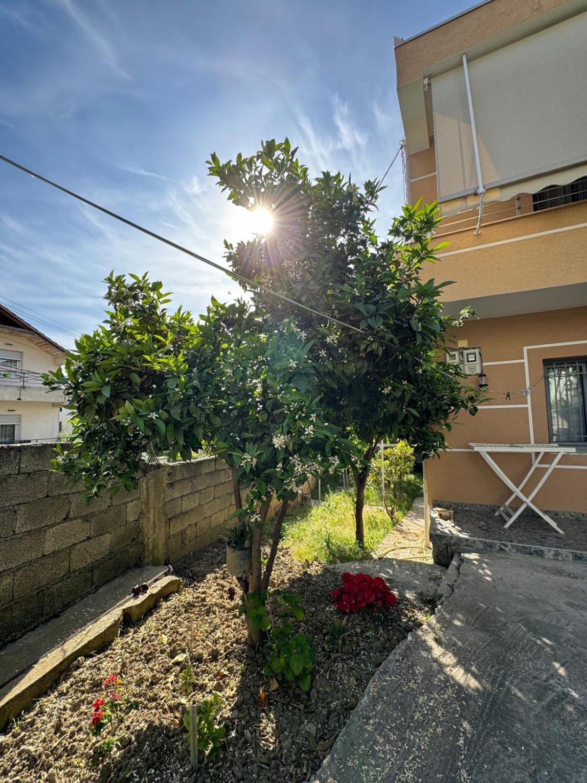 Vila Murati Τίρανα Εξωτερικό φωτογραφία